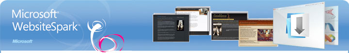 Microsoft Website Spark